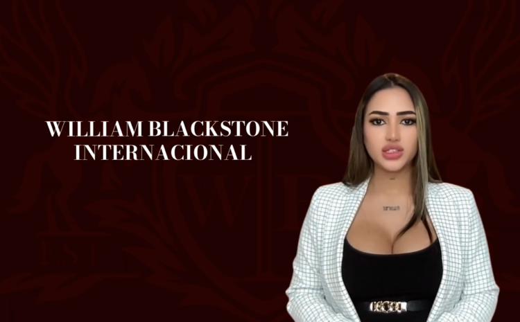  外交牌照：它們到底是什麼以及如何運作